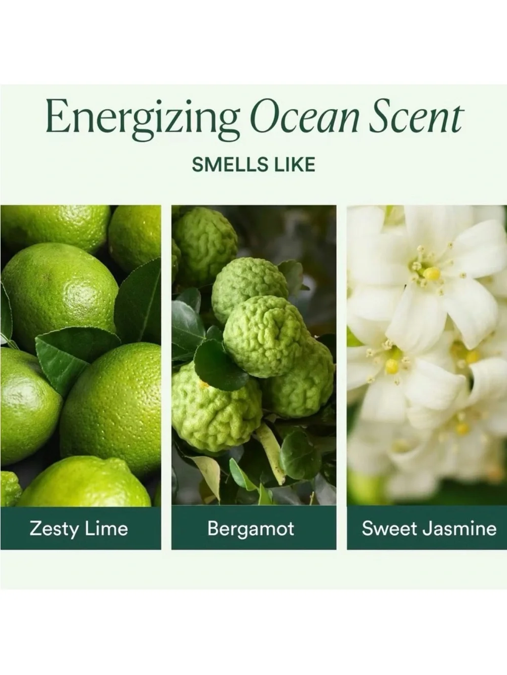 OSEA Ocean Cleanser NIB. Exfoliant, Calms & Refreshes skin. Seaweed Infused